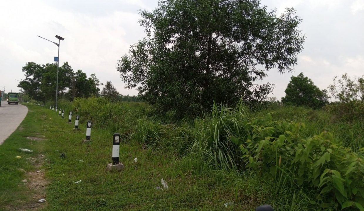 Dijual Tanah 13 Ha Pinggir Jalan Tanjung Api Api Talang Kelapa Gasing (2)