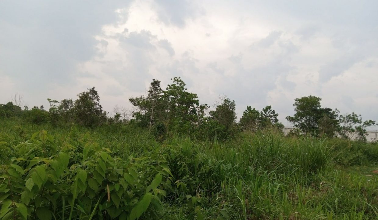 Dijual Tanah 13 Ha Pinggir Jalan Tanjung Api Api Talang Kelapa Gasing (5)