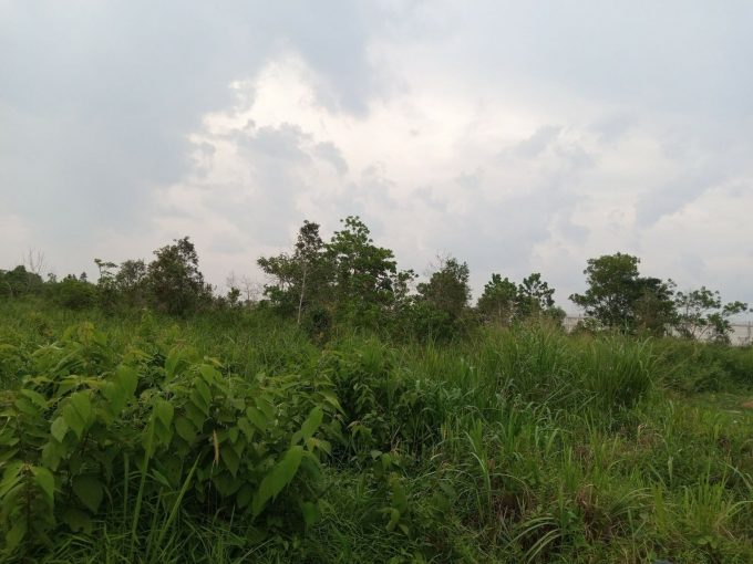 Dijual Tanah 13 Ha Pinggir Jalan Tanjung Api Api Talang Kelapa Gasing