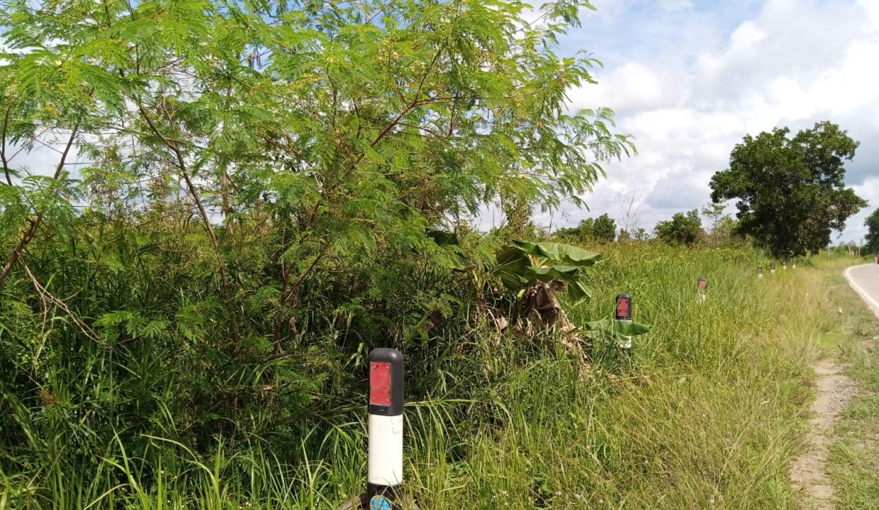 Dijual Tanah 13 Ha Pinggir Jalan Tanjung Api Api Talang Kelapa Gasing (6)
