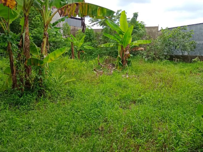 DIJUAL TANAH KERAS KENTEN LAUT BANYUASIN