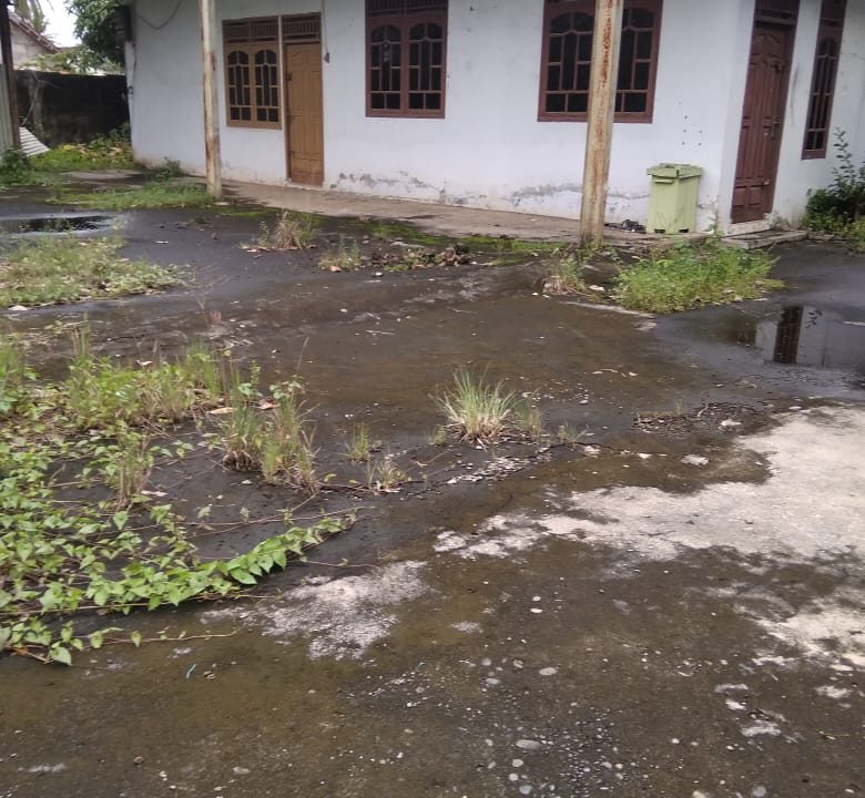 WhatsApp Image 2022-02-12 at 11.18.25