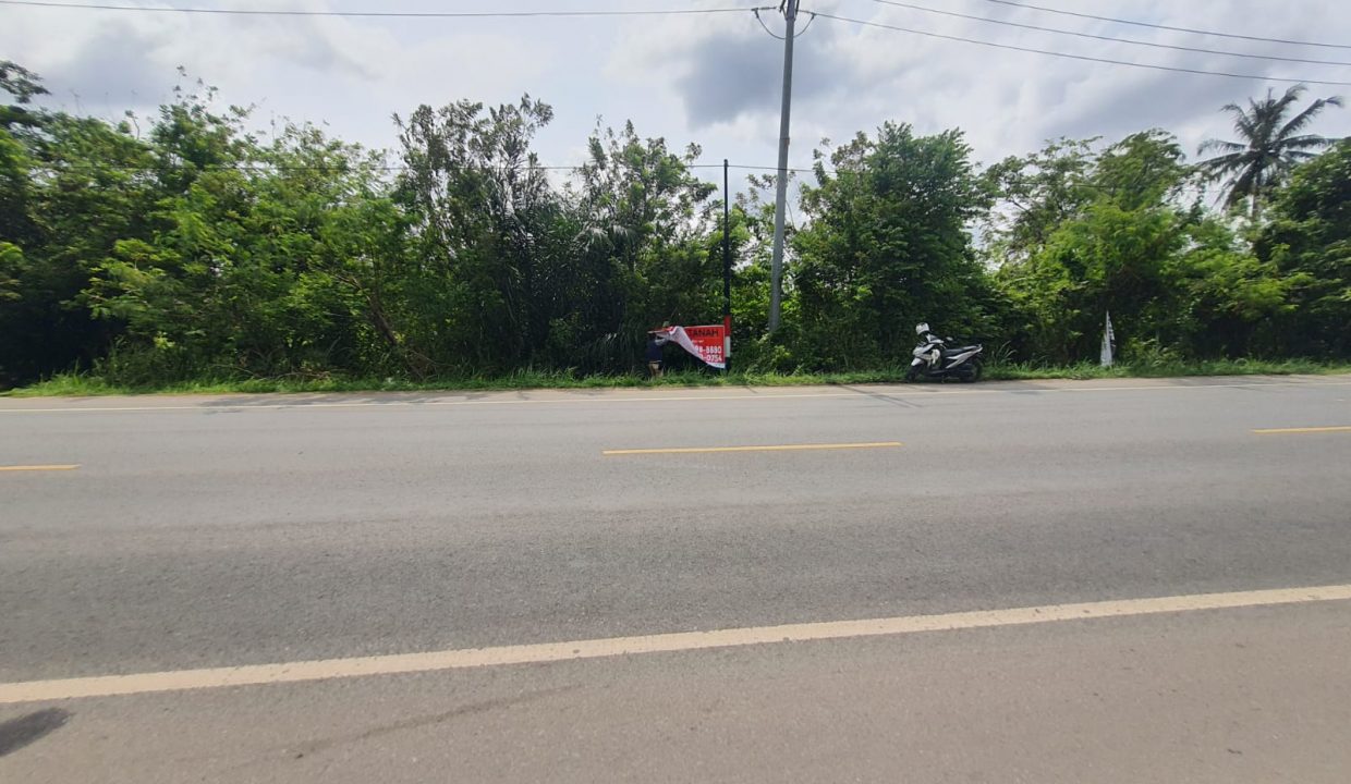 Dijual Tanah 2 Hektar Jln Sriwijaya Raya (7)