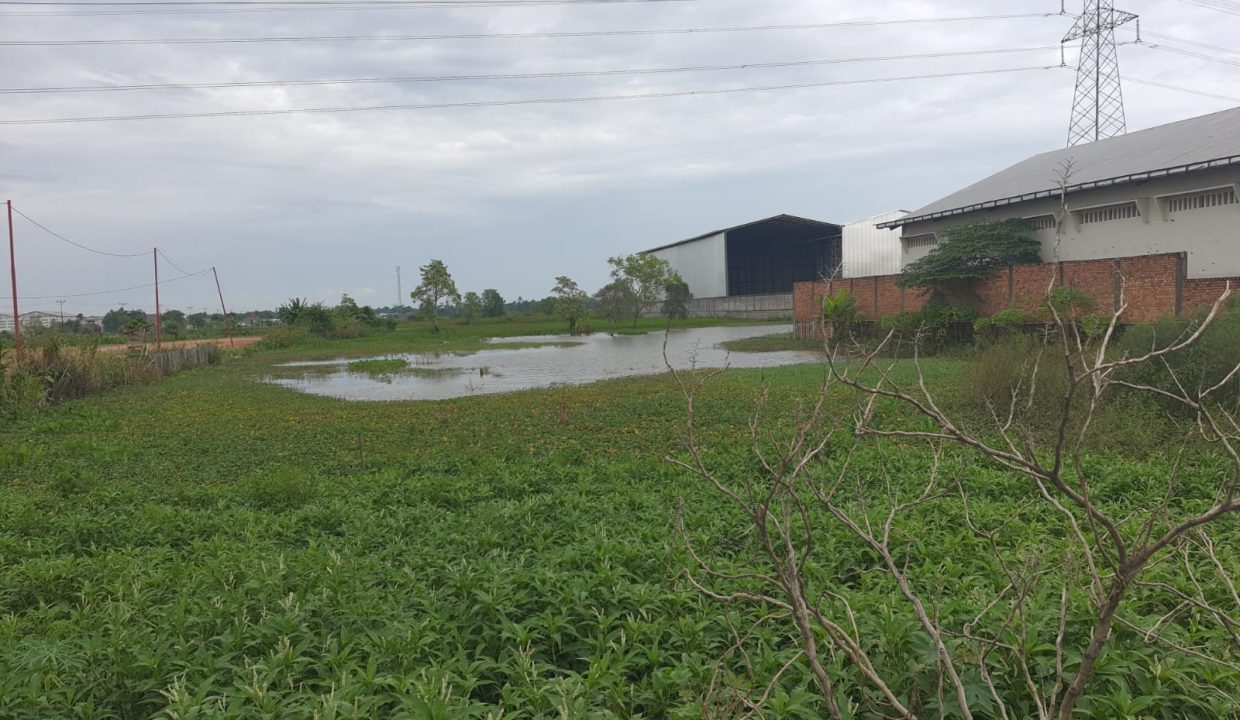 Dijual Tanah 4,3 H Jalan Sriwijaya Raya (2)