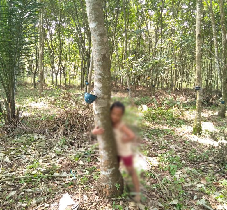 Dijual Tanah Lokasi Payabakung Indralaya Palembang (5)