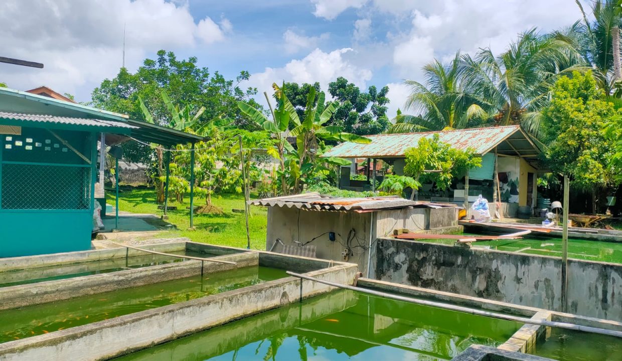Dijual Tanah + bangunan rumah 3 unit di lr.sianjur 1 jln. Bambang Utoyo (6)