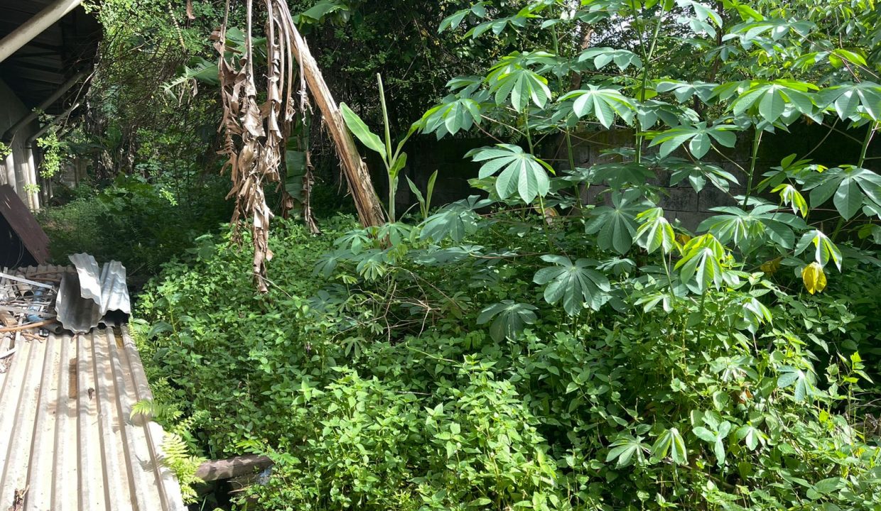 Dijual Tanah + Gudang Jalan Tanjung Api Api (44)