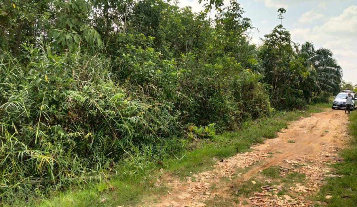 dijual tanah siap bangun talang betutu (1)