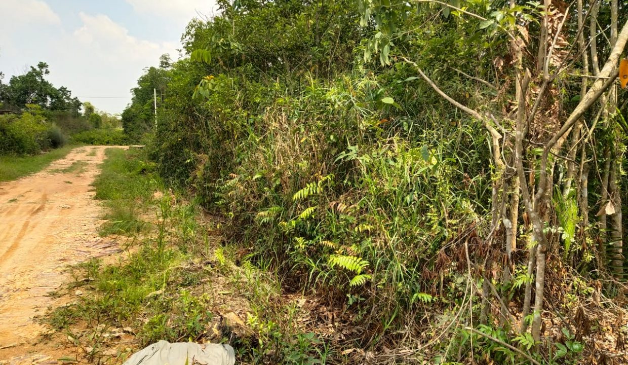 dijual tanah siap bangun talang betutu (2)