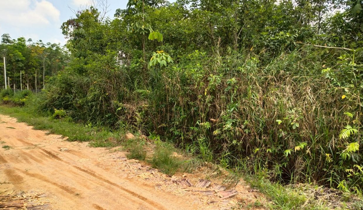 dijual tanah siap bangun talang betutu (3)