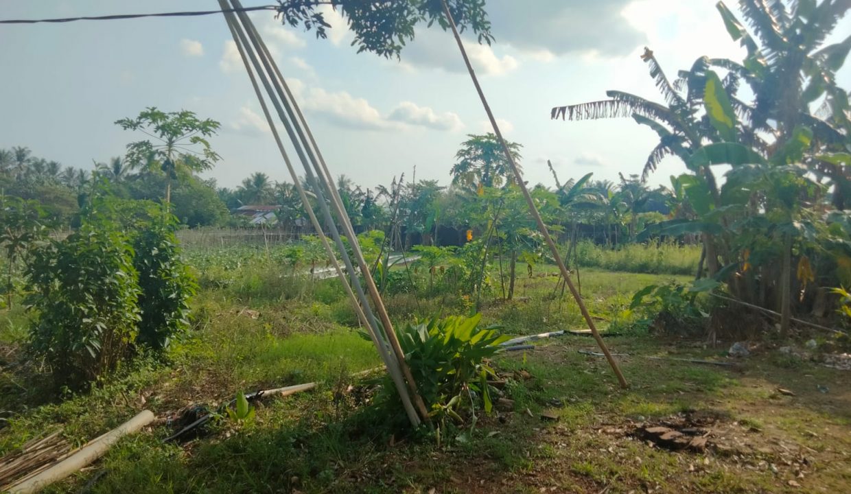 Dijual Tanah Di jalan Sukamoro (3)