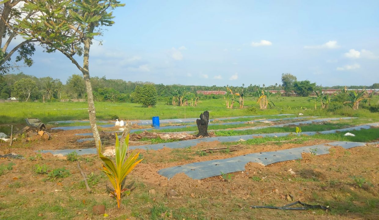 Dijual Tanah Di jalan Sukamoro (4)