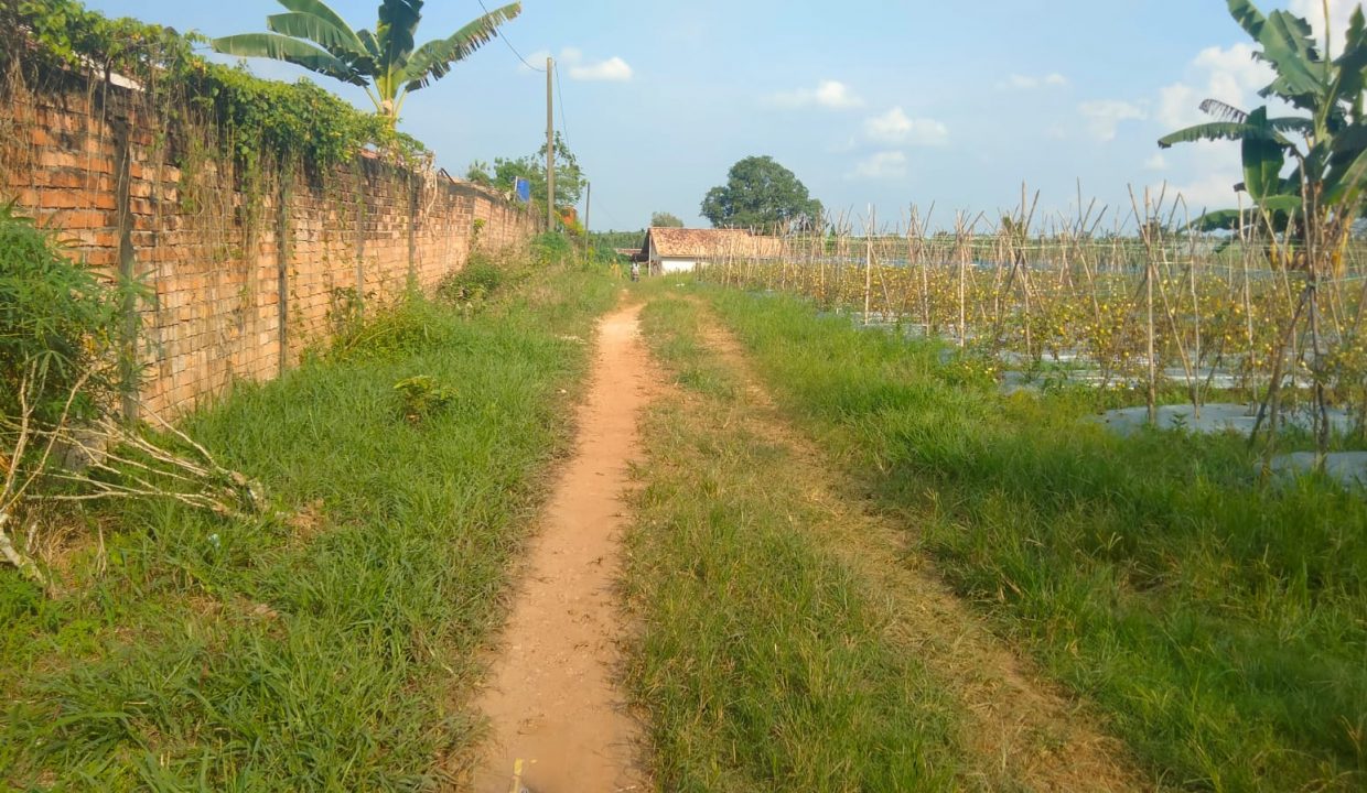 Dijual Tanah Di jalan Sukamoro (8)