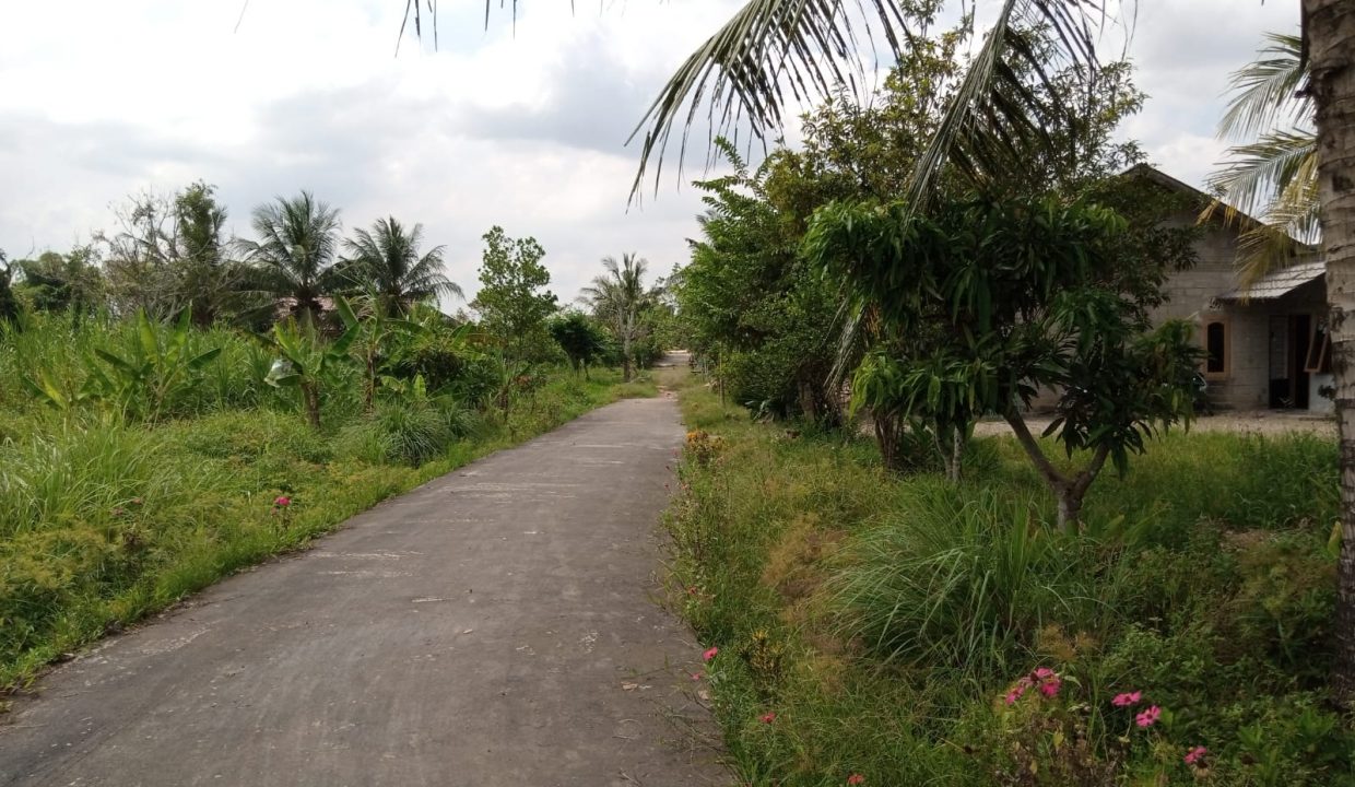 Dijual Tanah Kavling di Area Tanah Mas (1)