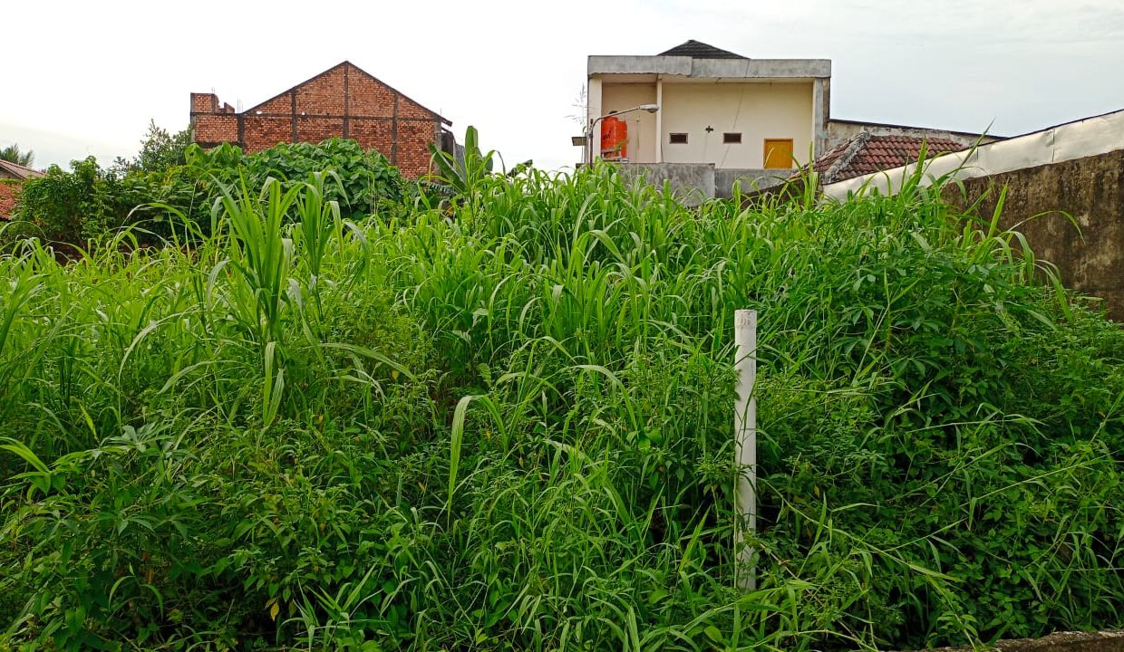 Residen Abdul Rozak Palembang (1)