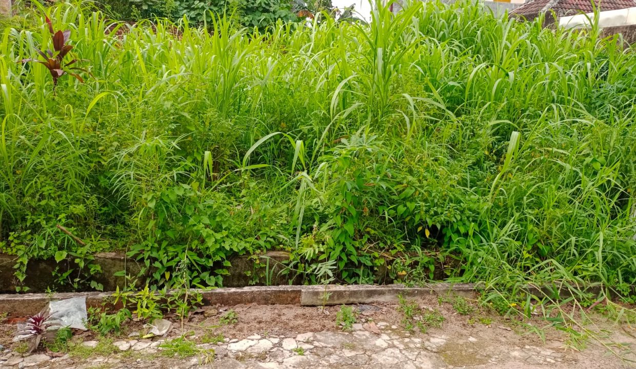 Residen Abdul Rozak Palembang (4)