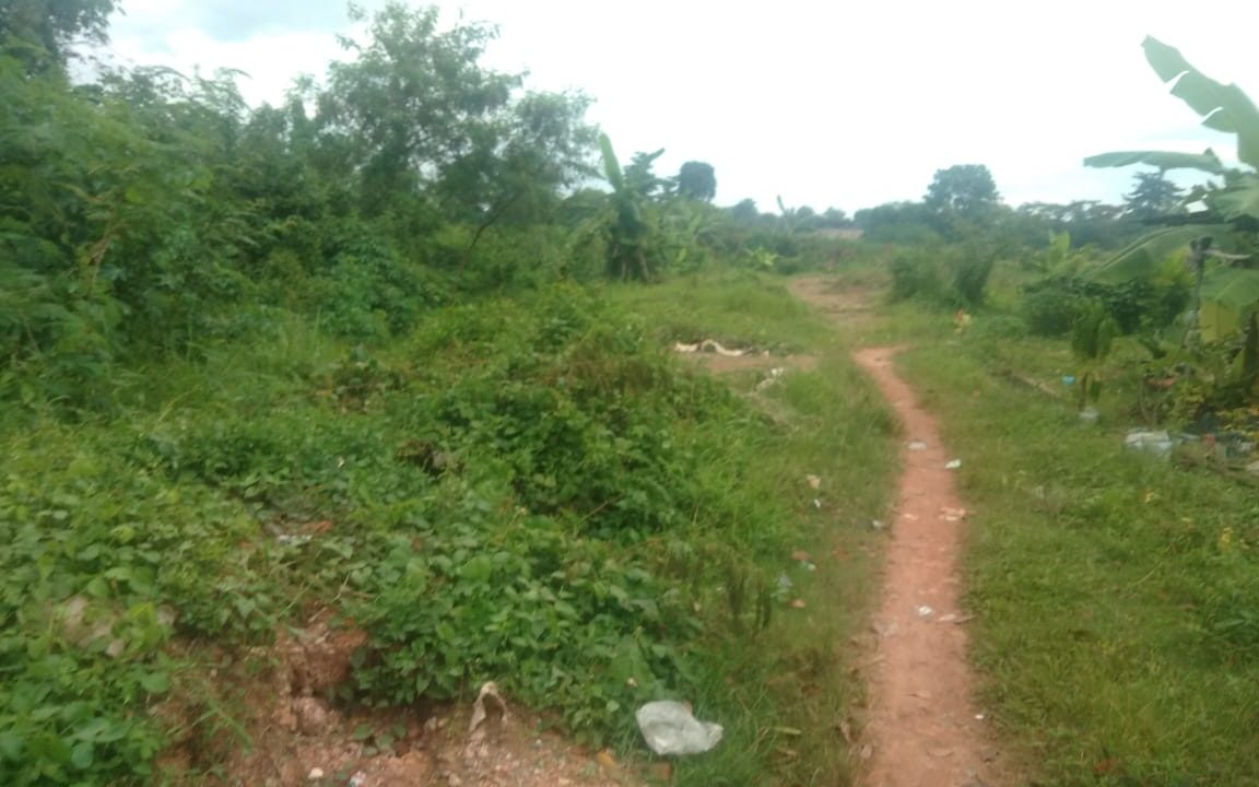 Talang keramat & Kebun sayur (1)