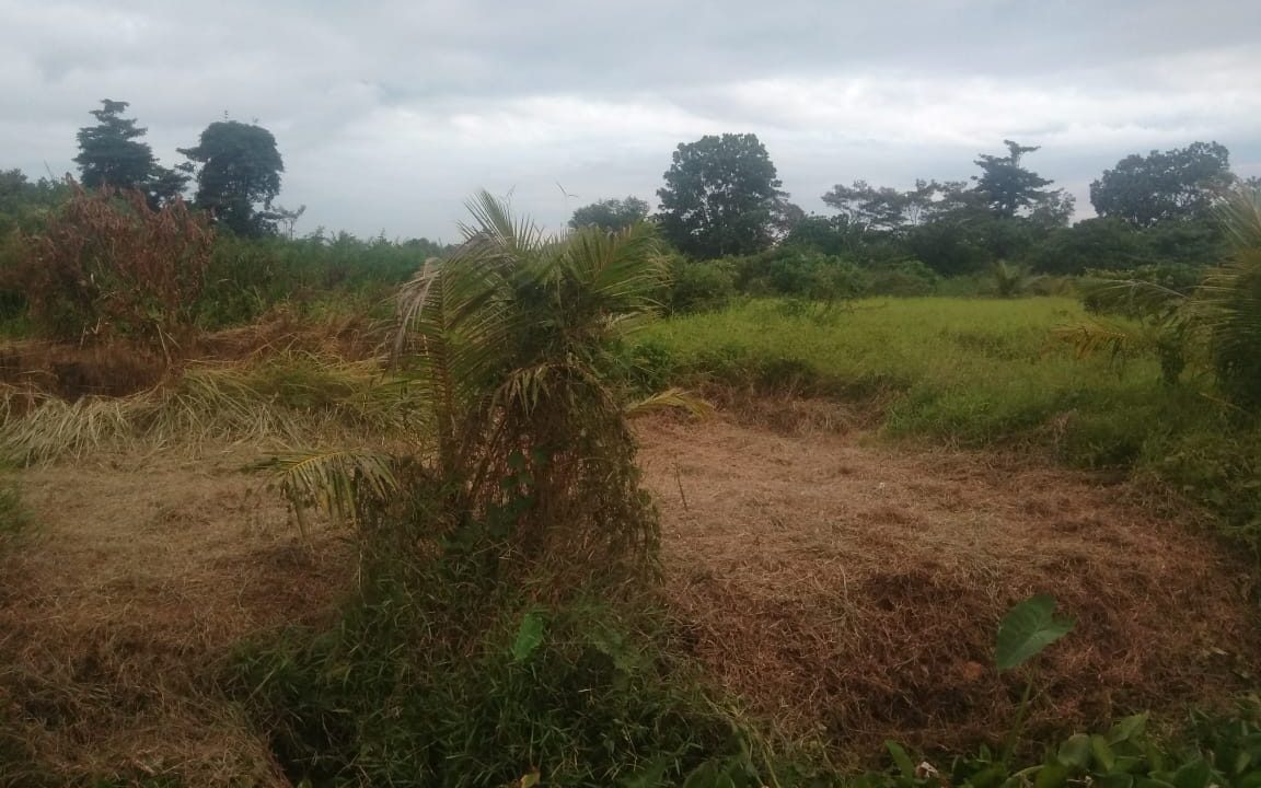 Talang keramat & Kebun sayur (2)