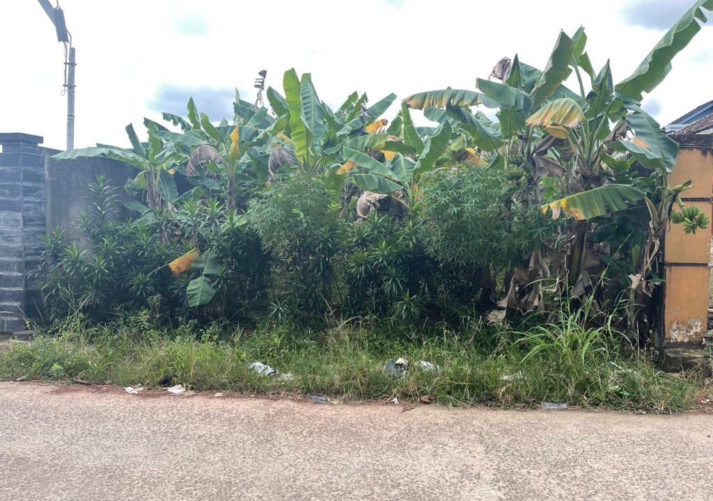 Di Jual Tanah Siap Bangun di Jalan naskah km 7 (4)