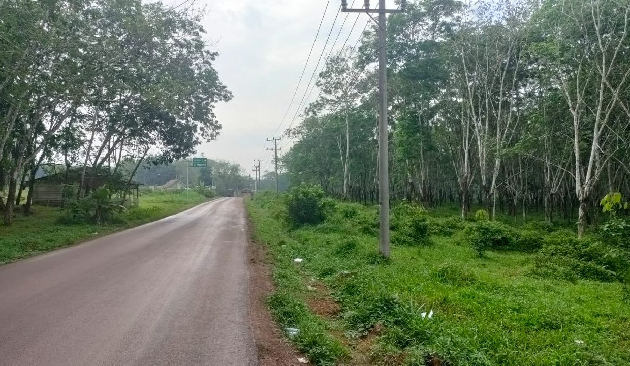 Dijual Lahan Kebun Karet (5)
