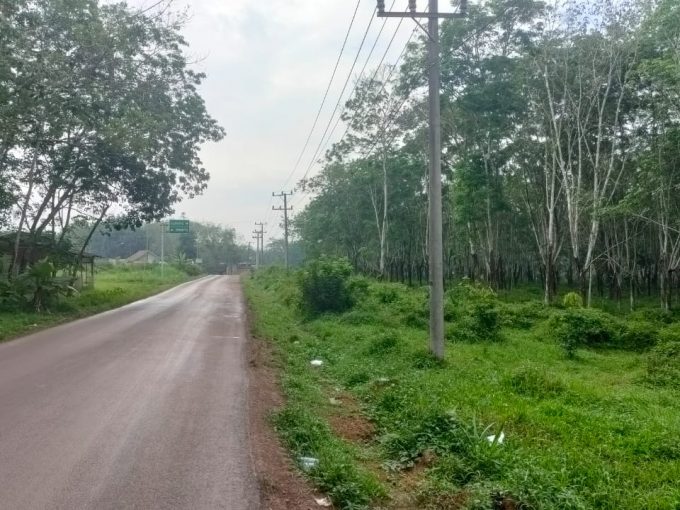 Dijual Kebun Karet Jalan Padat Karya Talang Buluh