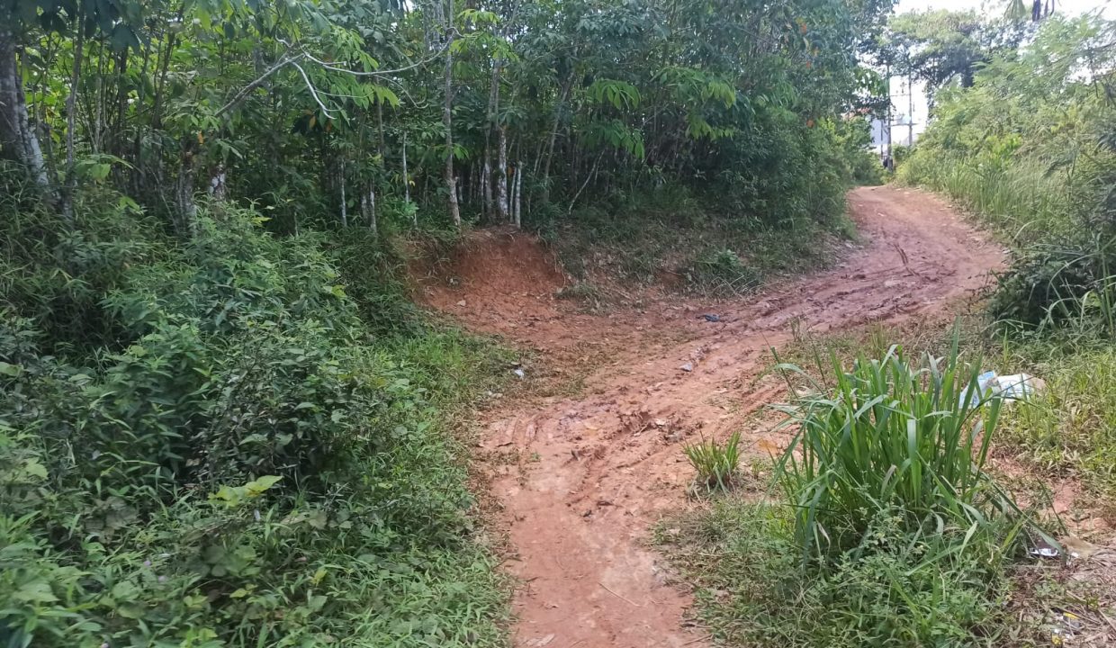 Dijual lahan di Jalan Bumi Mas Sukajadi Talang Kelapa Palembang (4)