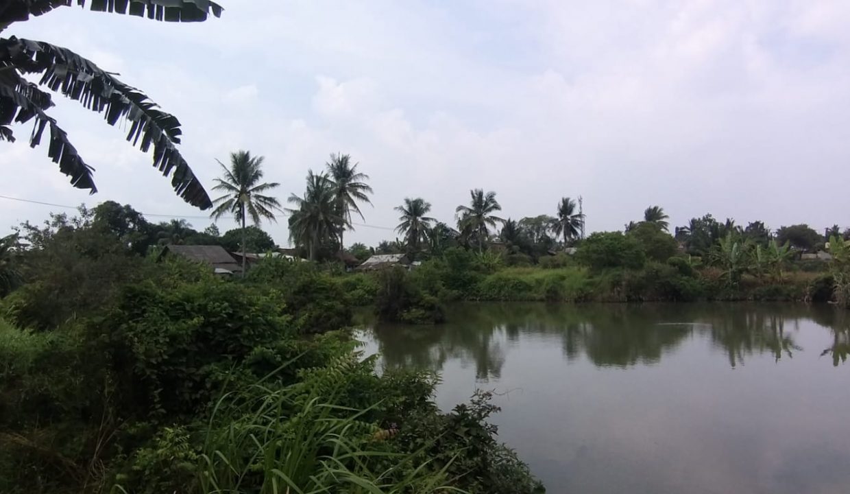 Dijual lahan di talang betutu luas lahan 8500 m2 dekat sma 21 negeri palembang (2)