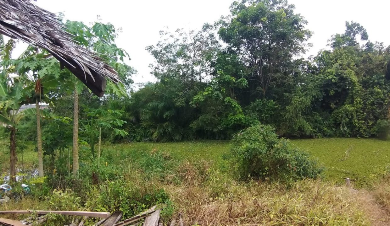 Dijual lahan di talang betutu luas lahan 8500 m2 dekat sma 21 negeri palembang (3)