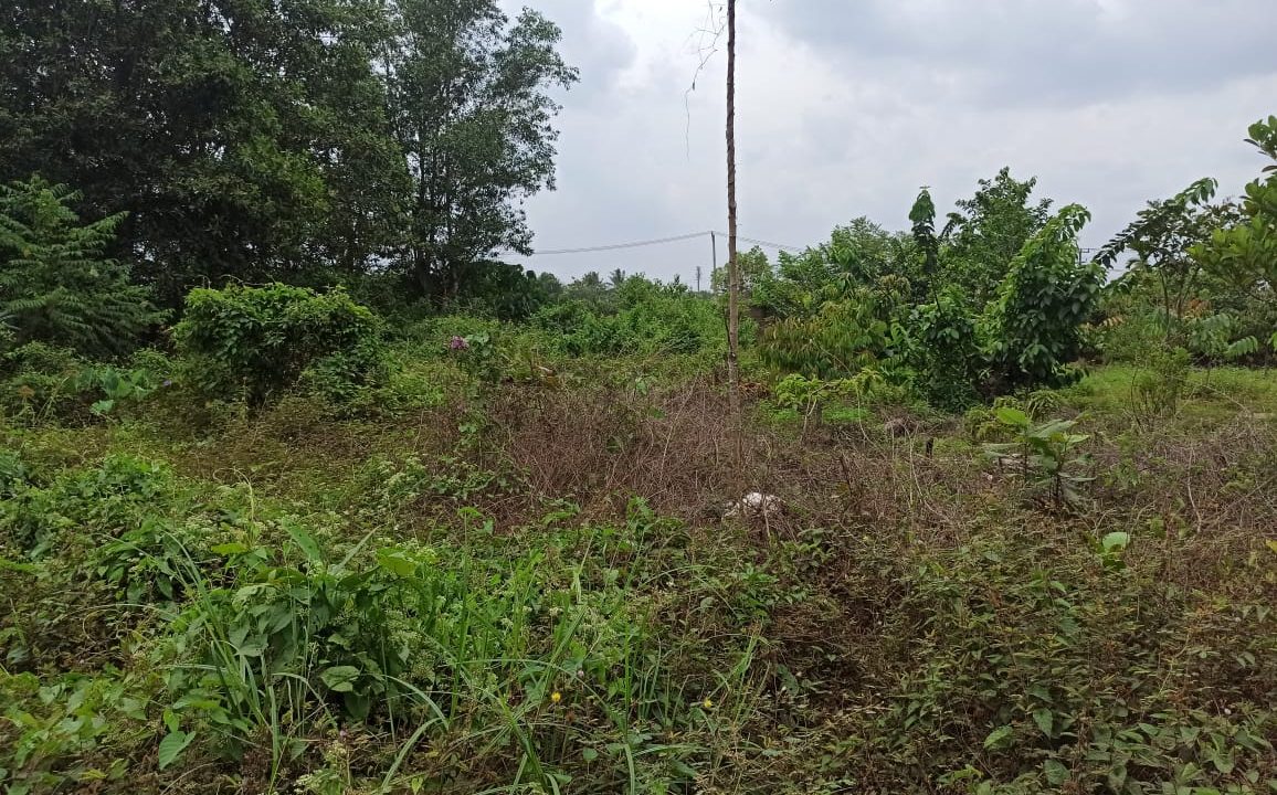 Lebung Permai Talang Kelapa (1)
