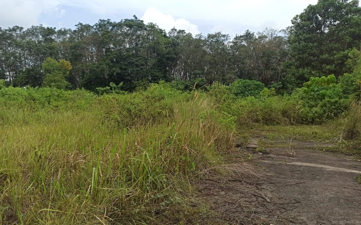 Lebung Permai Talang Kelapa (4)