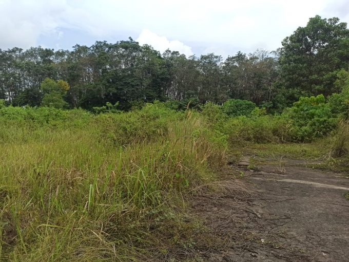 Dijual Tanah Keras di Jalan Lebung Permai Talang Kelapa Palembang