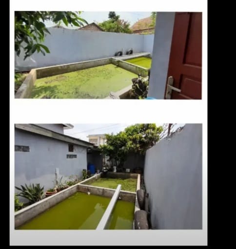 Dijual Rumah Bonus Kolam ikan Sukarami Palembang (8)