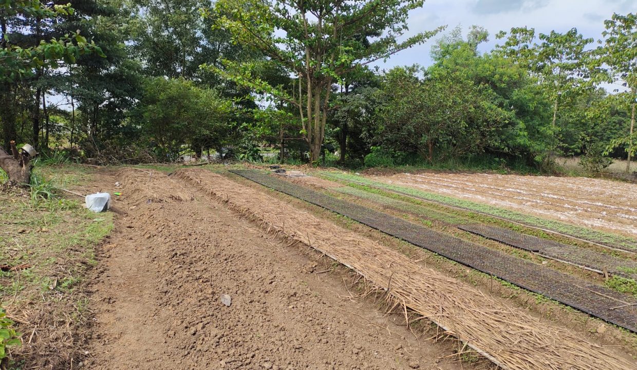 Dijual Tanah Jl. Hm Noerdin Pandji Palembang (10)