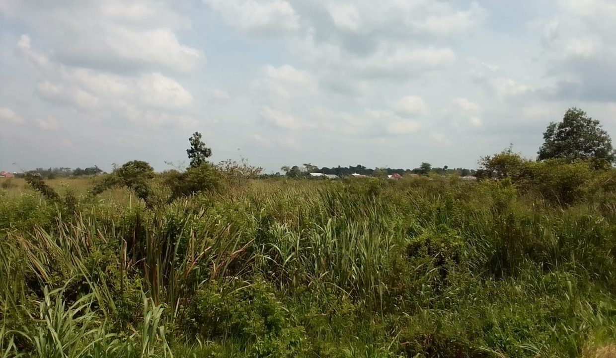 Jalan Raya Lintas Timur (3)