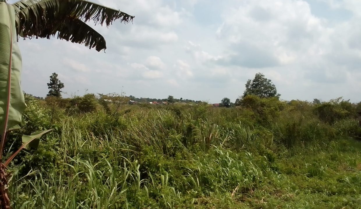 Jalan Raya Lintas Timur (5)
