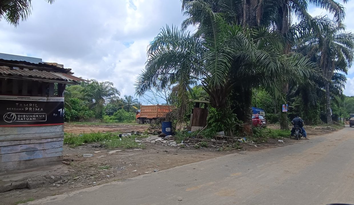 TANAH KM 14 BANYUASIN (1)