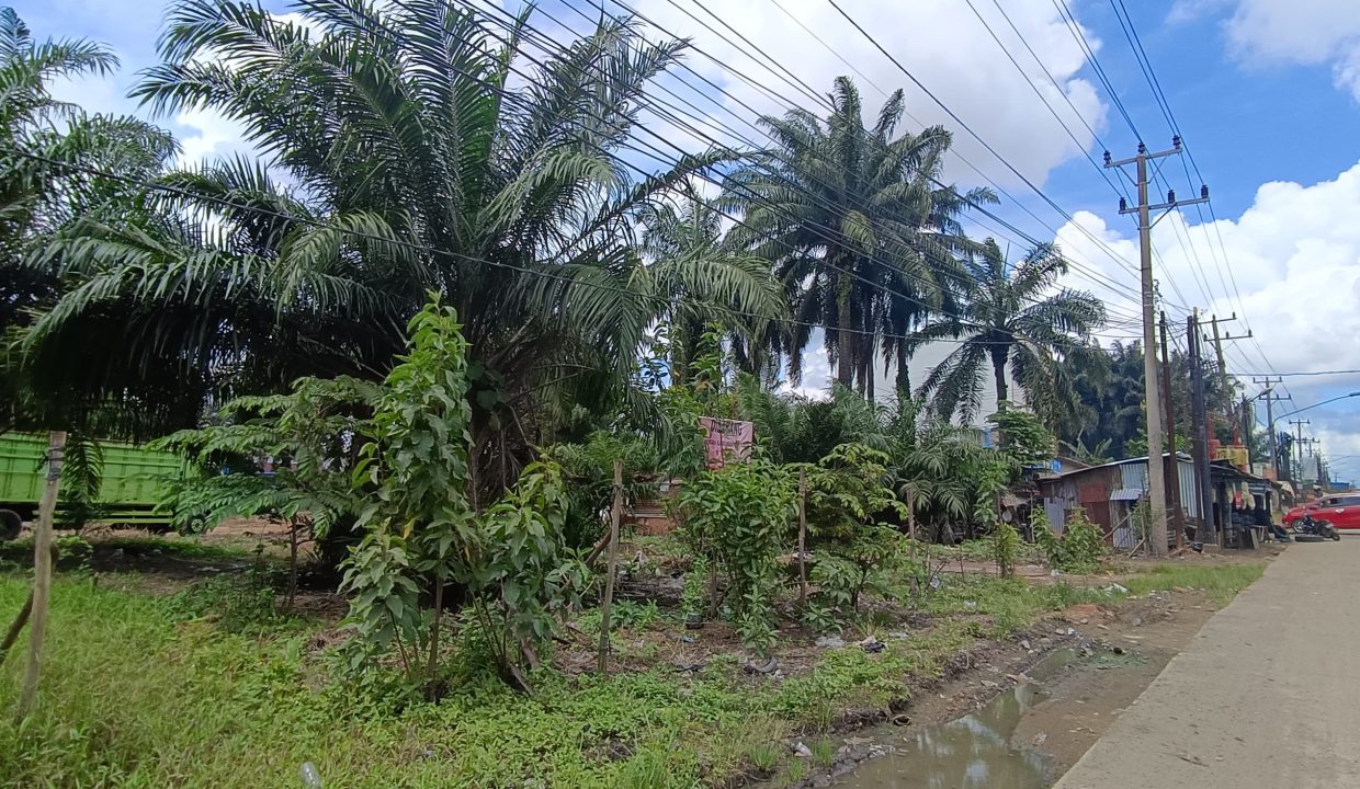 TANAH KM 14 BANYUASIN (2)