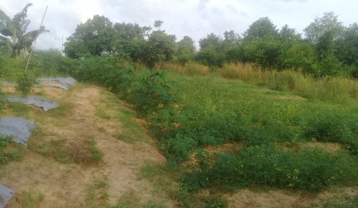 Talang Keramat masuk Banyuasin (1)