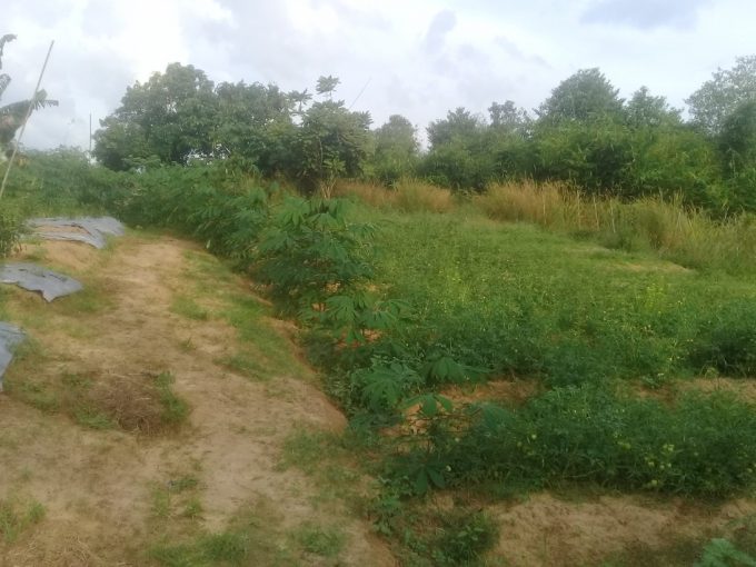Dijual Tanah Jalan Talang Keramat dekat Kota Palembang