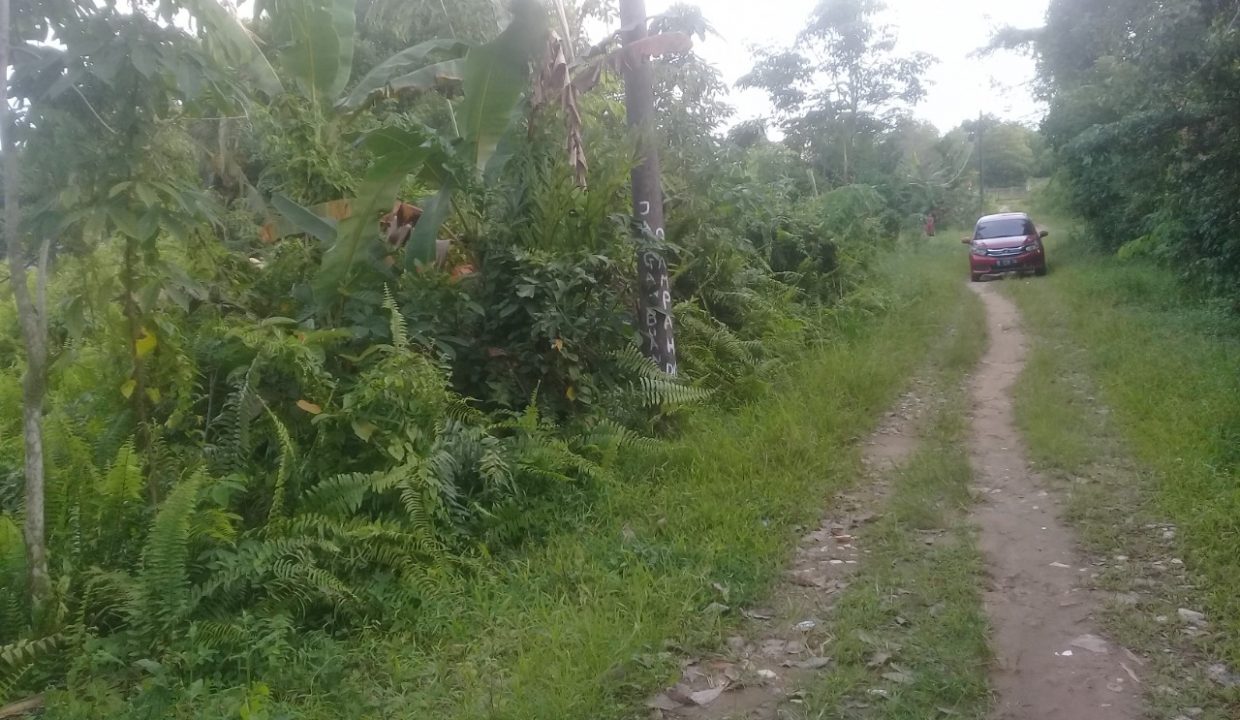 Talang Keramat masuk Banyuasin (3)