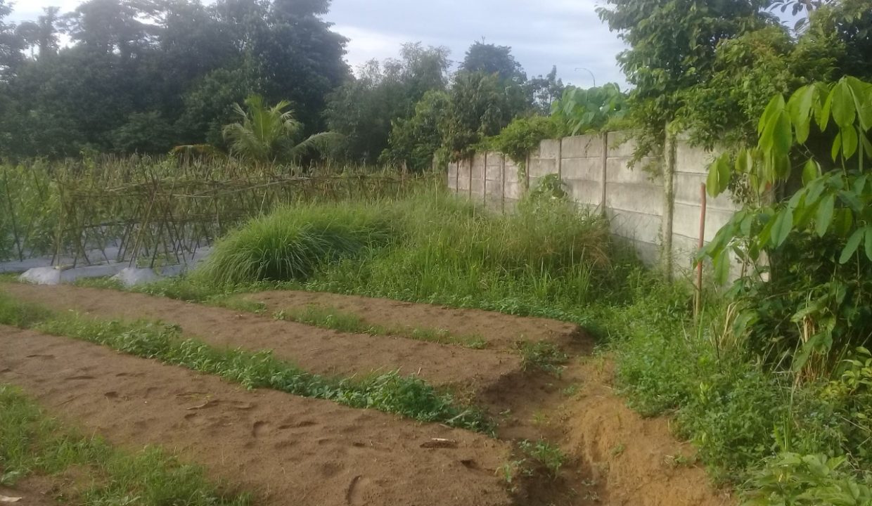Talang Keramat masuk Banyuasin (4)