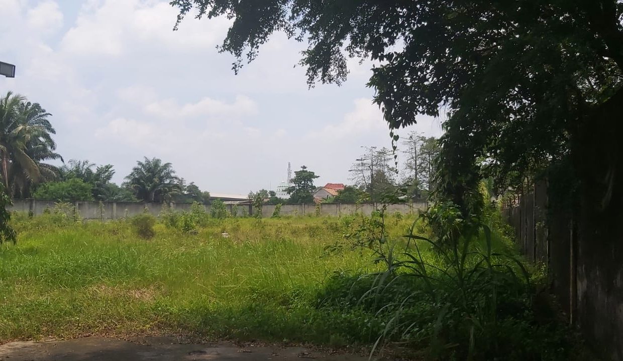 DIJUAL TANAH BONUS GUDANG JALAN KOL H BURLIAN (4)