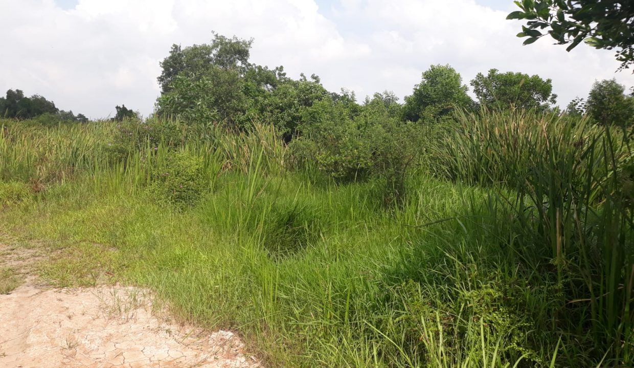 DIJUAL TANAH DI JL PERTAHANAN, PLAJU PALEMBANG (1)