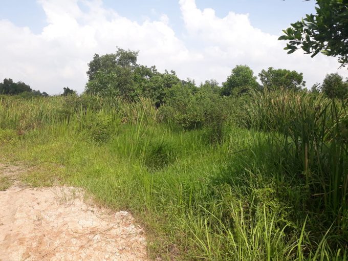 Dijual Tanah Di Jl. Pertahanan, Plaju Palembang