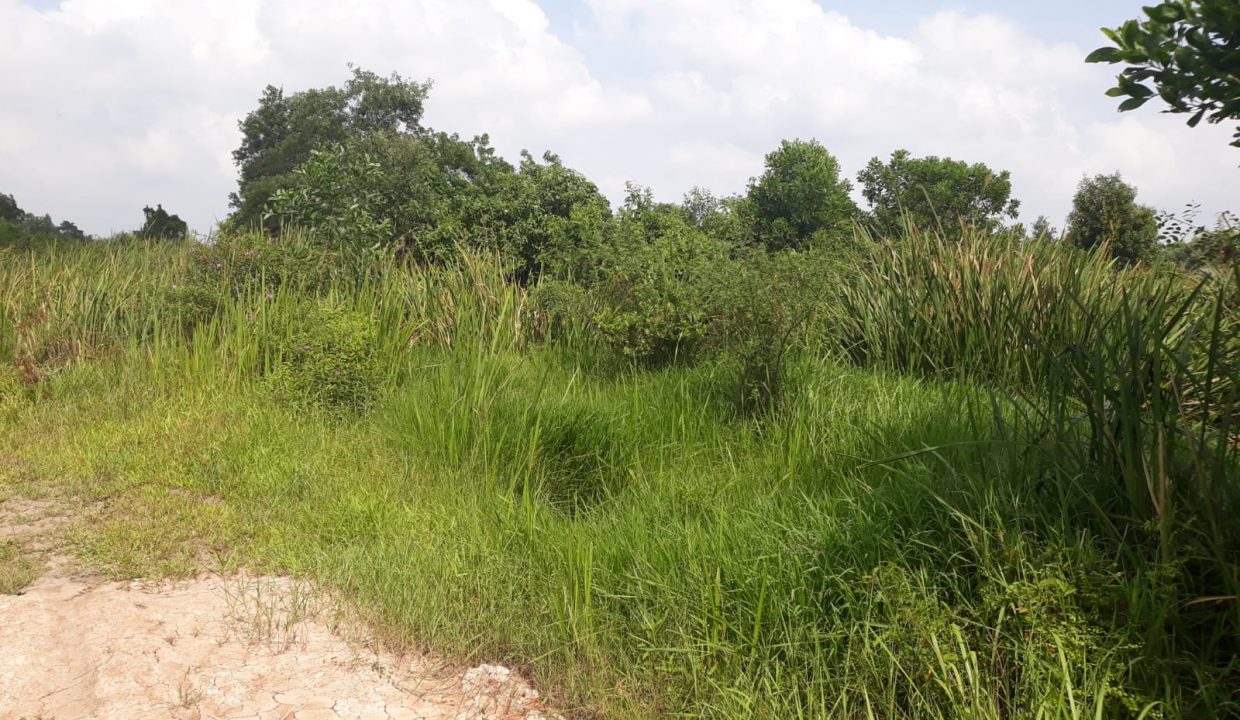 DIJUAL TANAH DI JL PERTAHANAN, PLAJU PALEMBANG (2)