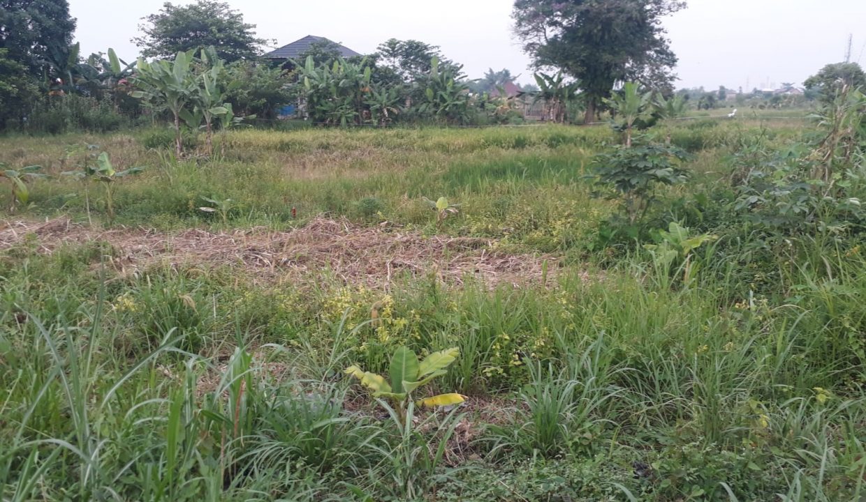 DIJUAL Tanah di Jalan Panca Usaha Ujung PALEMBANG (2)