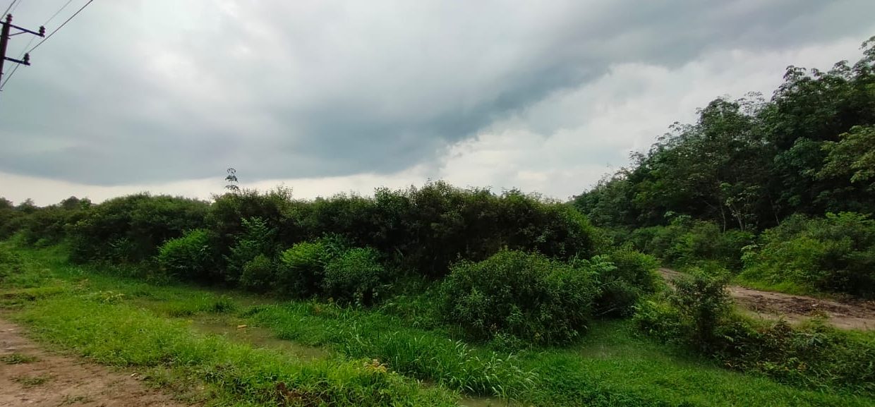 Dijual tanah Jl sukamakmur air batu Banyuasin Palembang ()