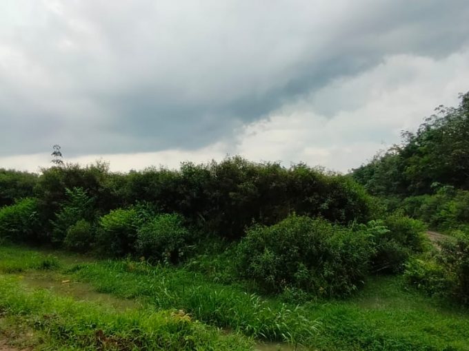 Dijual Tanah Jl Sukamakmur Air Batu kawasan Agrobisnis Peternakan Banyuasin Palembang
