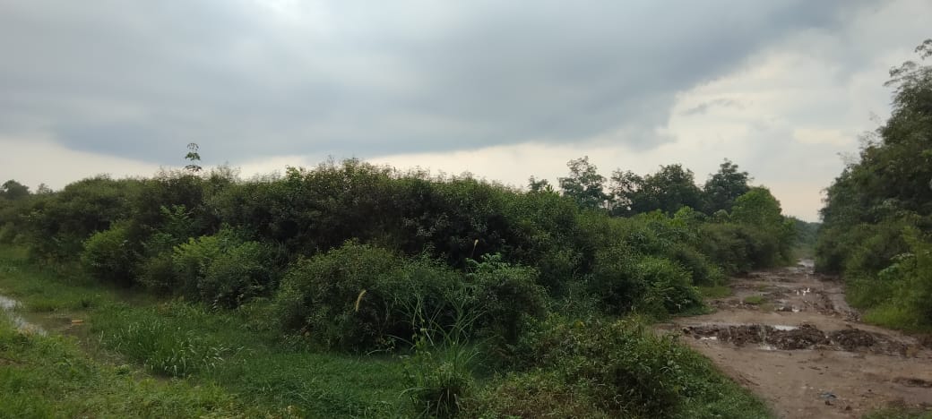 Dijual tanah Jl sukamakmur air batu Banyuasin Palembang (2)