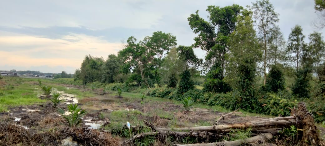 Dijual tanah Jl sukamakmur air batu Banyuasin Palembang (5)